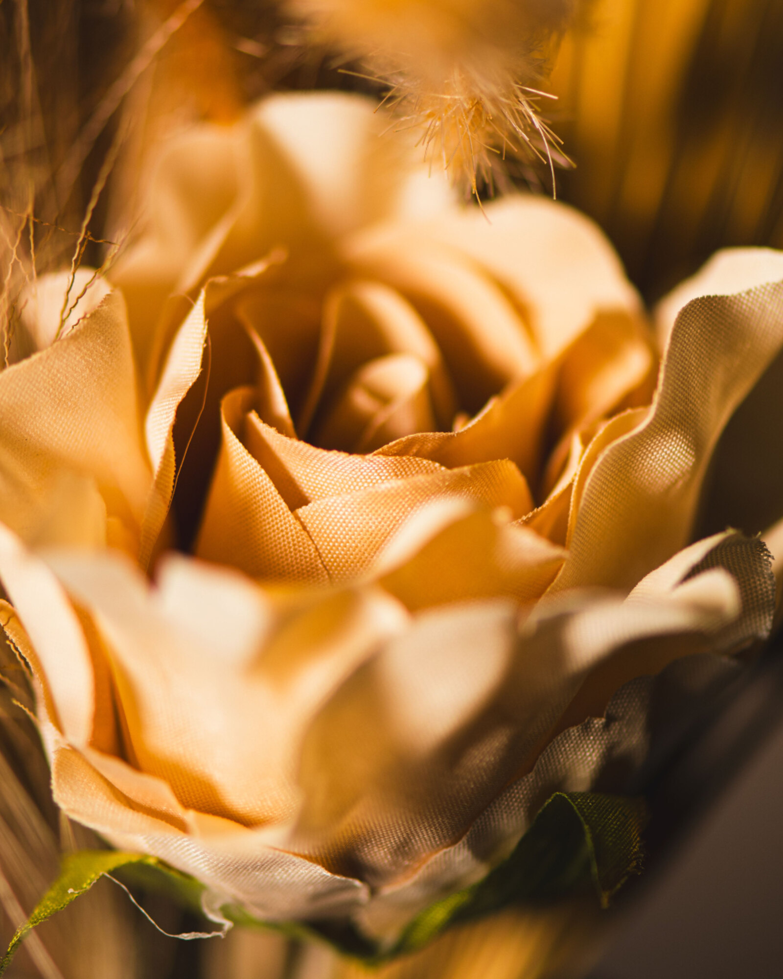 Fleurs séchées