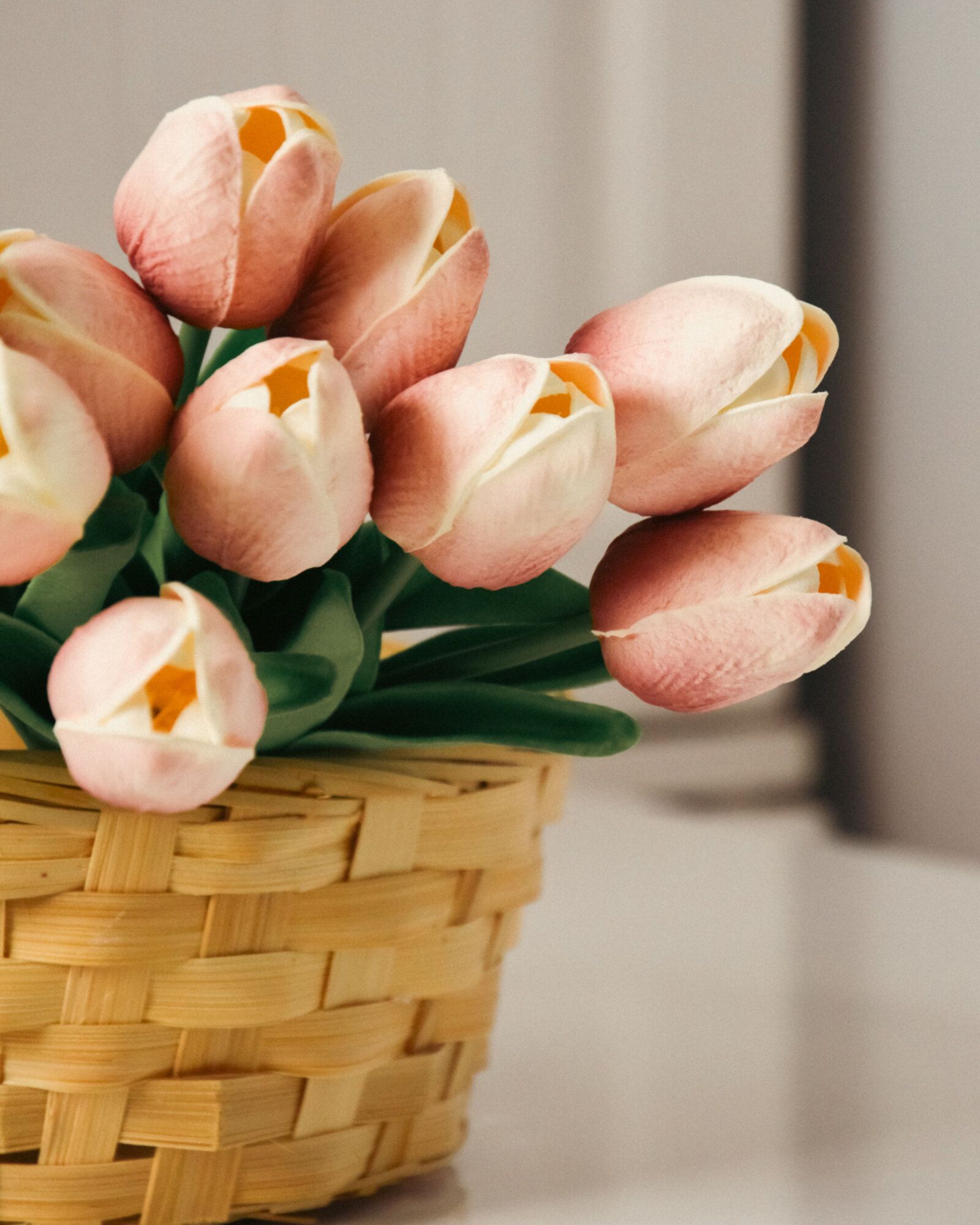 Tulipes